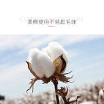 【現貨】台灣製 貝柔 柔棉 少女短襪-菱格 P506, , large