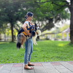 pet auxiliary clothing, 軍綠迷彩, large