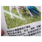 【Kuanyo】日本進口 高品質半亮面銅板打樣紙 135gsm 610mmx30M 2支/箱 CRO135, , large