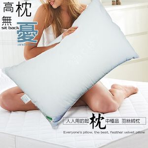 金德恩 GS MALL 台灣製造 一入 頂級可水洗羽絲絨枕 47x75cm 水洗枕 透氣枕 柔軟枕 羽絲絨枕 枕頭 寢具 羽絨枕