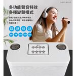 aibo 藍牙無線 雙麥克風K歌音箱【現貨】合格認證 迷你KTV 卡拉OK K歌神器 藍牙音響 行動KTV 藍牙喇叭, , large