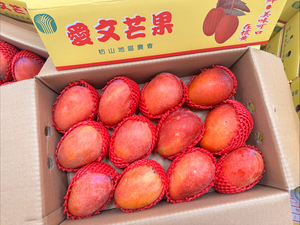 Irwin Mango