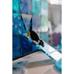 Magna-Tiles 磁力積木25片-極地動物, , large