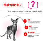Royal Canin, , large