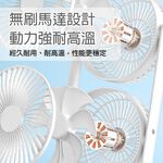 fan, , large
