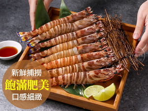 【愛上新鮮】澎湖活凍野生明蝦