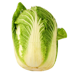 Imported Shan Ton Chinese Cabbage