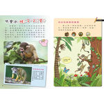 Play&LEARN, , large
