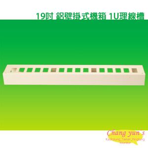 昌運監視器 19吋 鐵製壁掛式機箱 機櫃 1U 理線槽 加購區 【訂製品】
