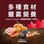 【拉拉寵物小舖】紐崔斯 貓飼料 頂級無穀貓+凍乾(七種魚)4.5公斤, , large