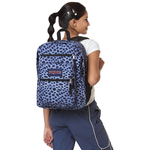 [秉宸] JANSPORT BIG STUDENT 後背包 JS0A47JK, , large