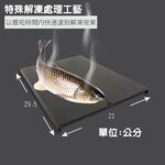 GS MALL 台灣製造 一入 急速解凍盤 解凍盤 解凍板 急速盤 解凍器 快速解凍板 解凍料理 料理解凍盤, , large