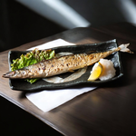 Saury, , large