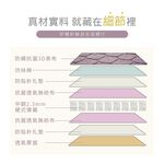 台灣製【藤原傢俬】冬夏兩用護背防螨抗菌10 cm彈簧床墊-硬, , large