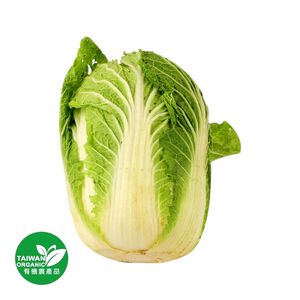有機山東大白菜1kg/顆