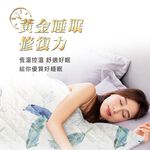 【日本旭川】生命磁MIT石墨烯四季被/空調被(多款可選) 涼被 台灣製 石墨烯被, , large