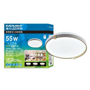 Everlight  55W LED  Ceiling Lamp (SW)