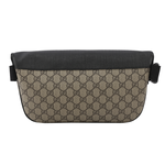 fanny pack, , large