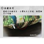 GS MALL 台灣製造 油畫枕頭套「真愛大師」一入 柳清松 萊卡枕頭套 舒眠枕頭套 枕頭套 枕頭 真愛大師 油畫枕頭套, , large