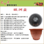 European Pot / Embossed European Pot / Round Pot (Brick Red) - 1.3 ft, , large