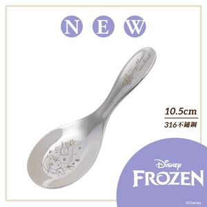 STAINLESS STEEL SPOON-SMALL