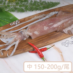 【一夫水產】海釣透抽－中, , large
