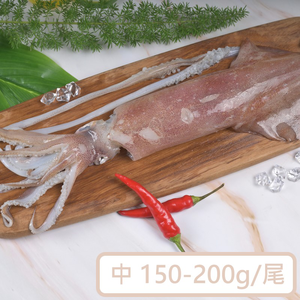 【一夫水產】海釣透抽－中