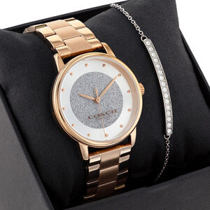 COACH 閃耀水晶女錶 手鍊套錶-36mm CO14000090
