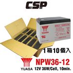 團購【YUASA】NPW36-12  (10顆/箱) 鉛酸電池12V36W UPS 不斷電系統 童車 應急照明系統 醫療設備用電, , large