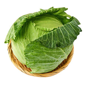 Local Cabbage (PC)