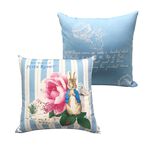 PETER RABBIT, , large
