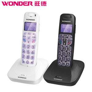 WT-D05 wireless telephone