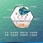 【BVD】石墨烯1/2乾爽氣墊襪5入-M<黑,22-25cm>B665 襪子 短襪 除臭襪, , large