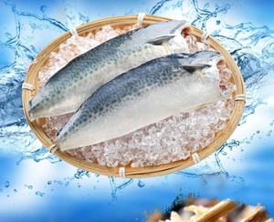 【愛上新鮮】南方澳鮮撈無鹽鯖魚10包