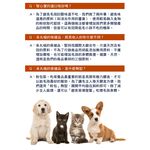 呆丸喵-腎心寶 (犬貓專用)寵物心腎保健 寵物貓咪毛小孩的腎臟心臟的保養, , large