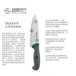 蓋瑞廚物【SANELLI 義大利製 TECNA 主廚刀 30cm】止滑柄 廚房刀 調理刀 廚刀 主廚刀 西式主廚刀 30, , large