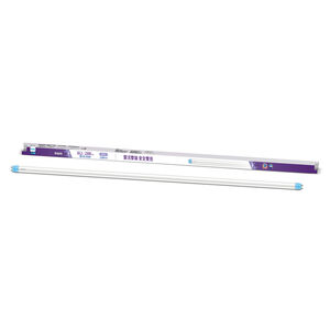 飛利浦品繹LED 18.2W 4尺雙端入電燈管-晝光色