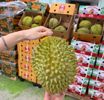 Kanyao Durian, , large