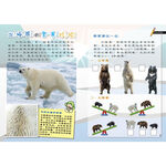 [小牛頓]PLAY&LEARN：極地旅行 適合5-8歲 平裝全彩 高階遊戲書, , large