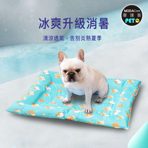 Pet outdoor supplies