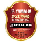 YAMAHA RYDEEN 傳統爵士鼓組 雅痞黃色款【敦煌樂器】, , large