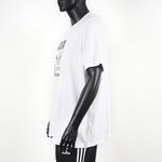 H13500, , large