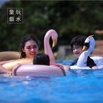 Flamingo Swim Ring, , large