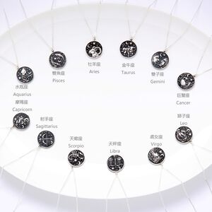【Angel & Me】12 星座 正反 雙面 硬幣 s925 純銀 項鍊 生日 情人節 禮物
