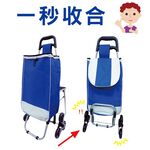 【雙手萬能】六輪會爬梯帆布帶椅購物車(不挑色) 菜籃車/買菜車/載貨車, , large