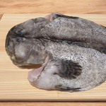 Grouper, , large