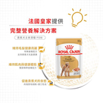 【拉拉寵物小舖】法國皇家 狗主食餐包 PDW 貴賓犬主食濕糧 狗主食濕糧, , large