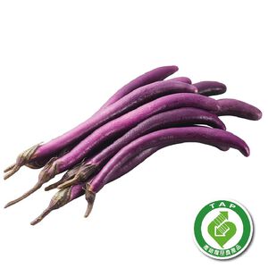 CFPLB Eggplant