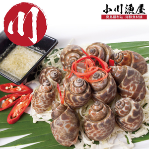 小川漁屋 嚴選活凍鳳螺1包(500g±10%)_任選