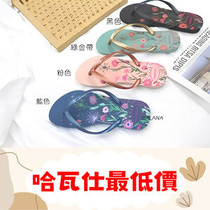 【當日出貨】[巴拉娜巴西人字拖專賣店]中壢實體店面 Havaianas 哈瓦仕 夾腳拖 SLIM ORGANIC 沙灘 海灘 海邊女款